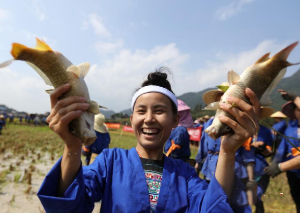 Women of Dong Ethnic Group Celebrate Rice Harvest in Guangxi